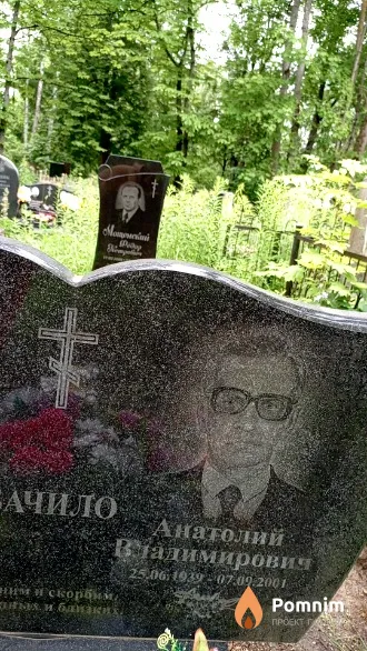 Бачило Анатолий Владимирович