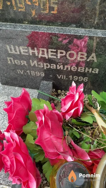 Шендерова Лея Израйлевна