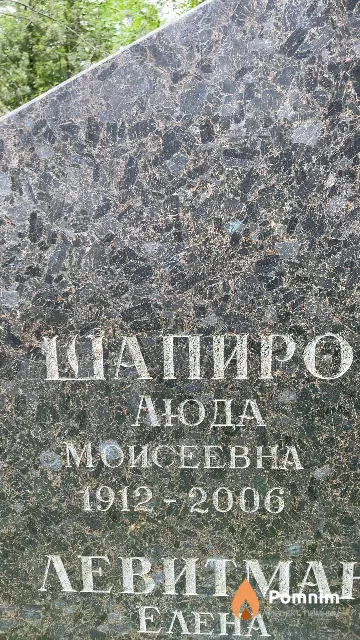 Шапиро Люда Моисеевна