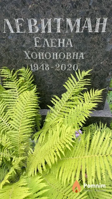 Левитман Елена Хононовна
