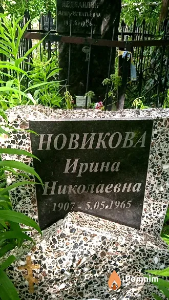 Новикова Ирина Николаевна