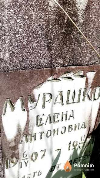 Мурашко Елена Антоновна