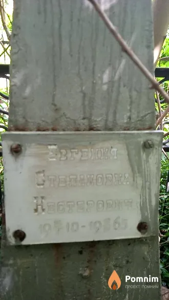 Нестерович Евгения Степановна