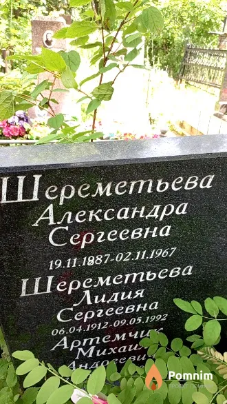 Шереметьева Александра Сергеевна