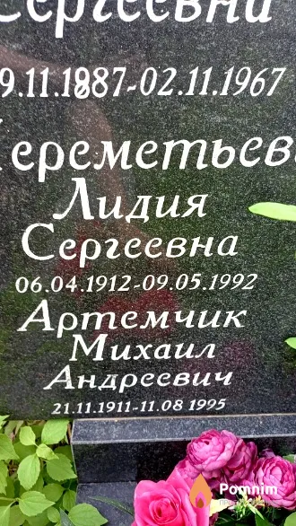 Ертемчик Михаил Андреевич