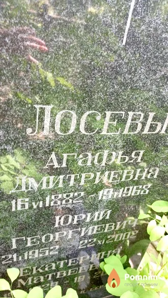 Лосев Юрий Георгиевич
