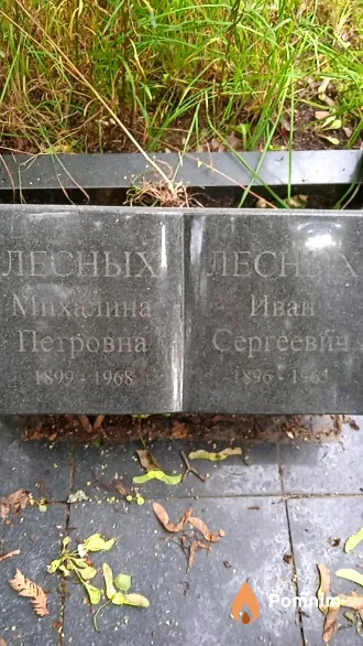 Лесных Михалина Петровна