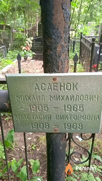 Асаенок Михаил Михайлович