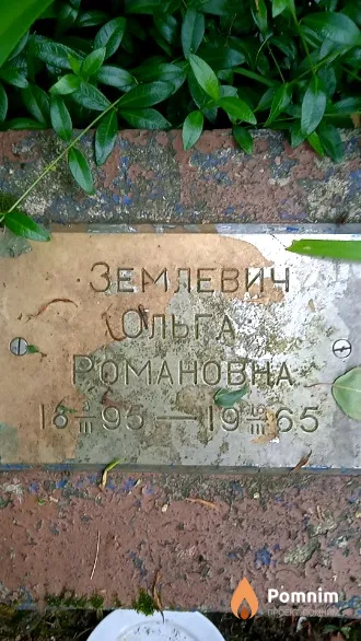 Землевич Ольга Романовна