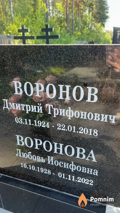 Воронов Дмитрий Трифонович