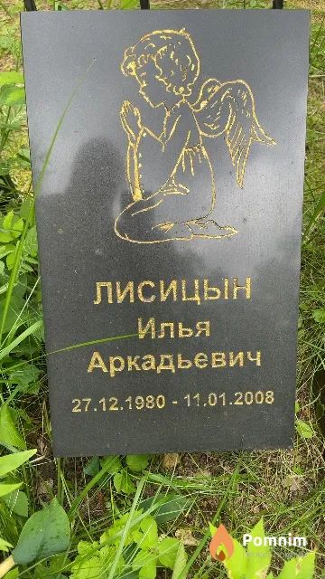 Лисицын Илья Аркадьевич