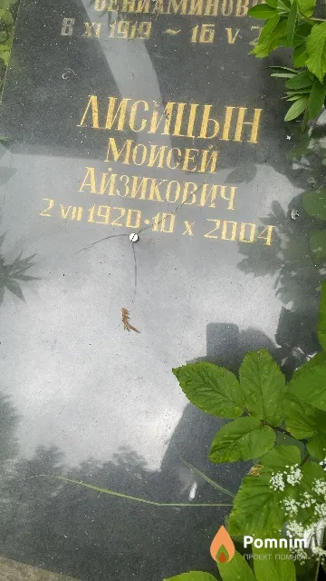Лисицын Моисей Айзикович