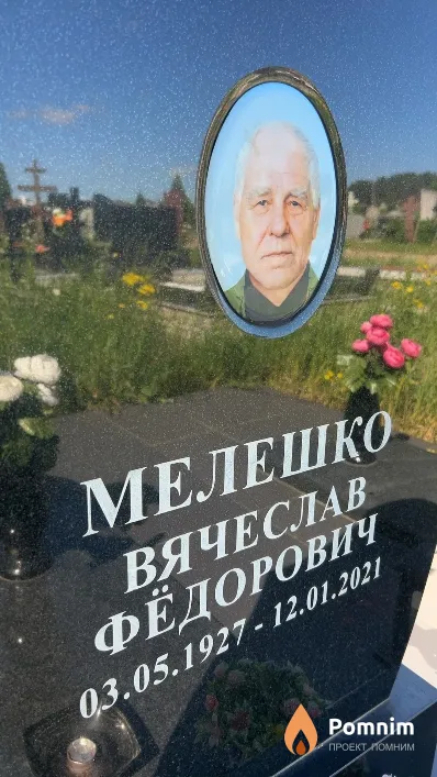 Мелешко Вячеслав Фёдорович