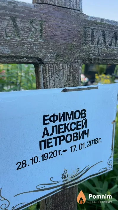 Ефимов Алексей Петрович