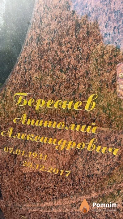Береснев Анатолий Александрович