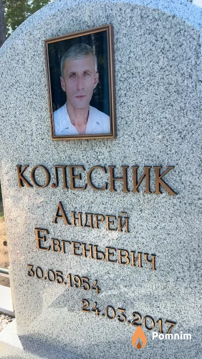 Колесник Андрей Евгеньевич