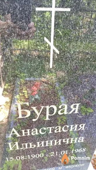 Бурая Анастасия Ильинична