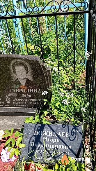 Пожидаев Игорь Владимирович