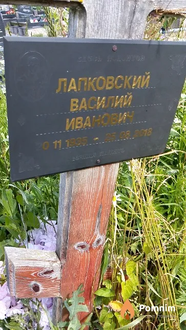 Лапковский Василий Иванович