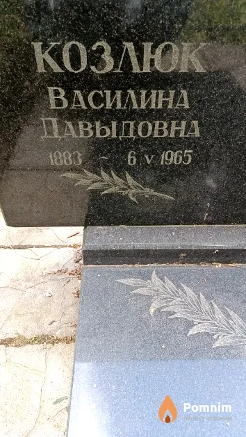 Козлюк Василина Давыдовна