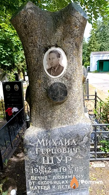 Шур Михаил Герцович