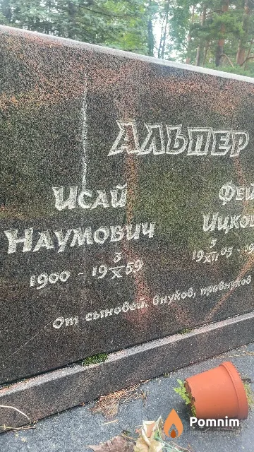 Альпер Исай Наумович