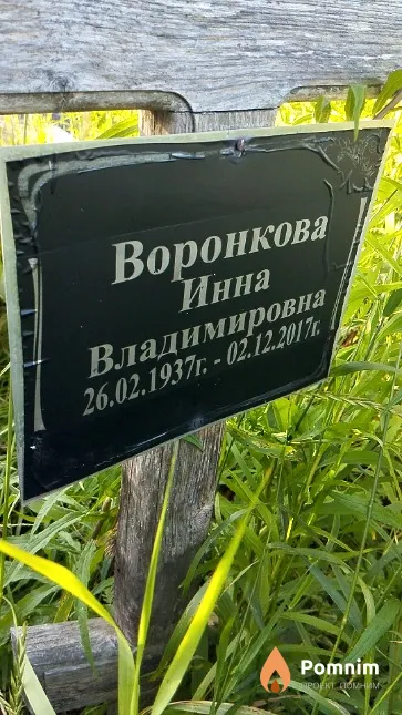 Воронкова Инна Владимировна