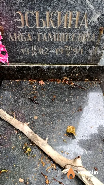 Эськина Либа Гамшеевна