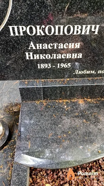 Прокопович Анастасия Николаевна