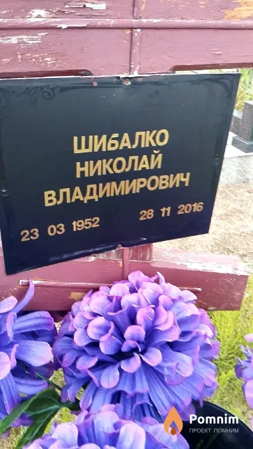 Шибалко Николай Владимирович