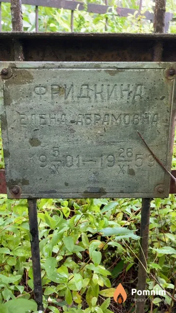 Фридкина Елена Абрамовна