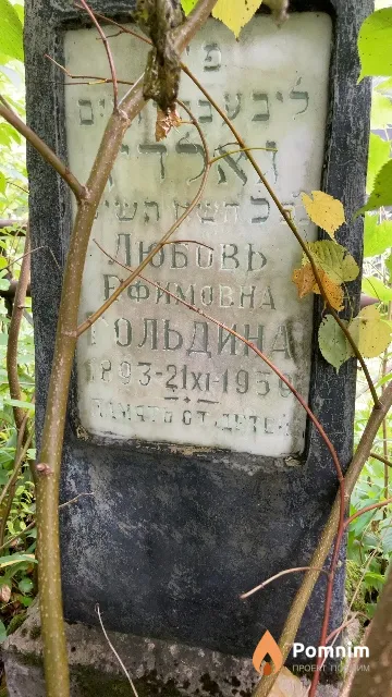 Гольдина Любовь Ефимовна