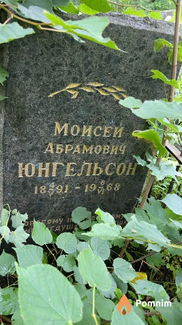 Юнгельсон Мойсей Абрамович