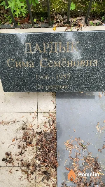 Дардык Сима Семёновна