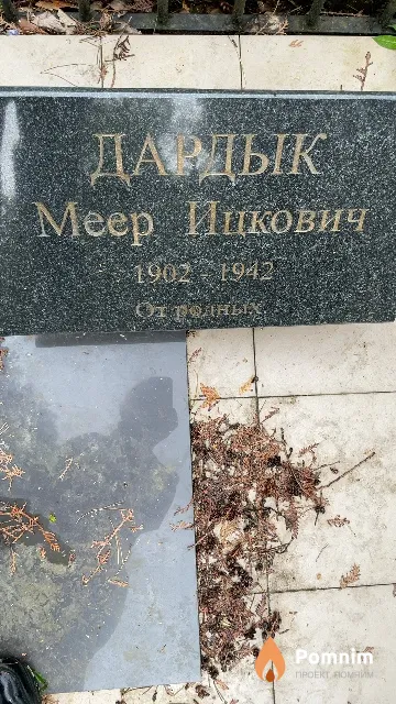 Дардык Меер Ицкович