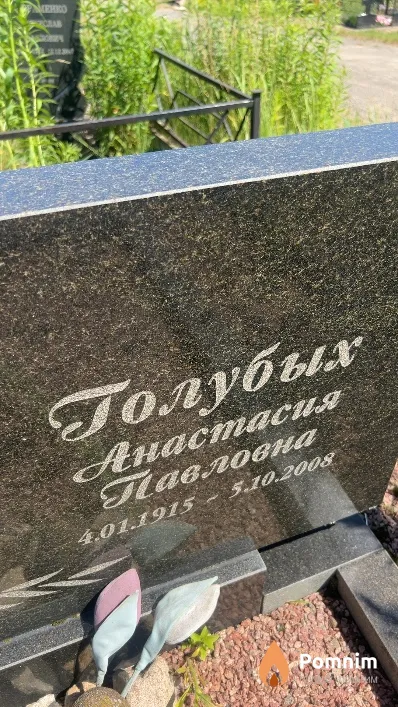 Голубых Анастасия Павловна