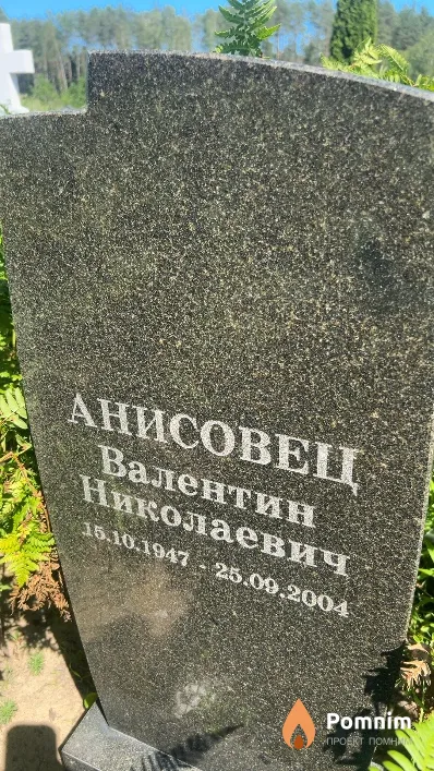 Анисовец Валентин Николаевич