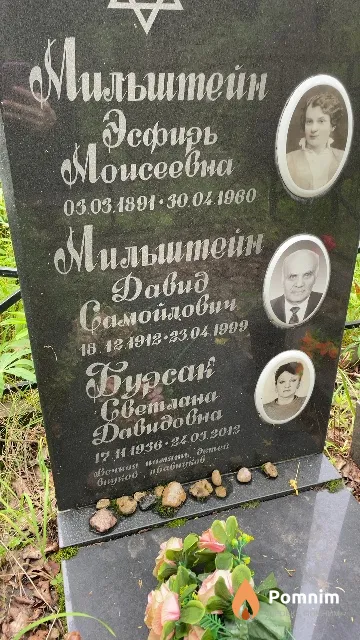 Бурсак Светлана Давидовна