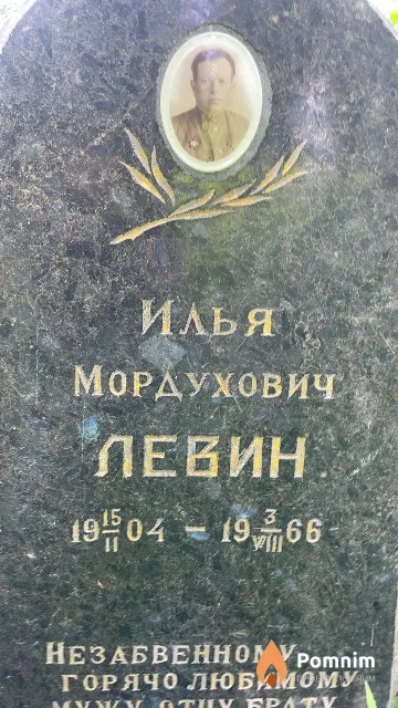 Левин Илья Мордухович