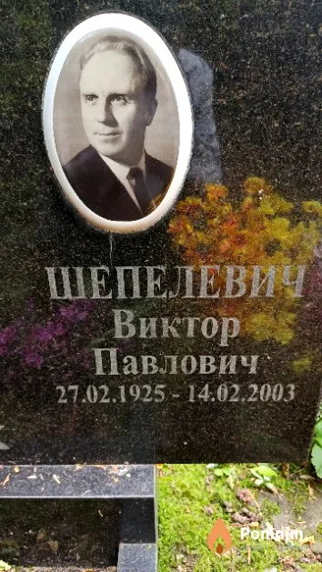 Шепелевич Виктор Павлович