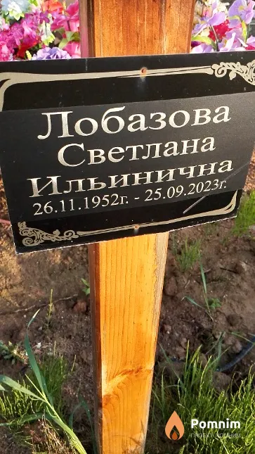 Лобазова Светлана Ильинична