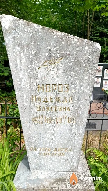 Мороз Надежда Власовна