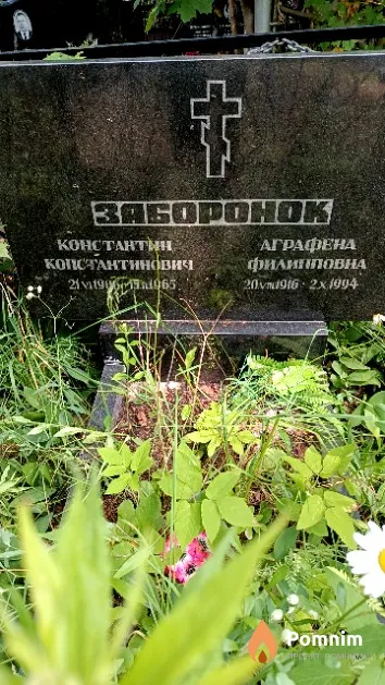 Заборонок Аграфена Филипповна
