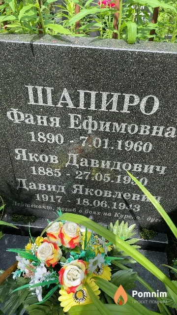 Шапиро Яков Давидович
