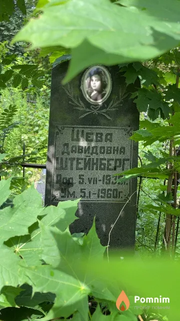 Штейнберг Шева Давидовна