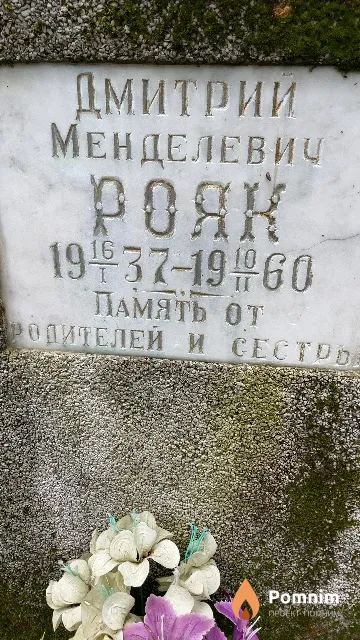 Рояк Дмитрий Менделевич