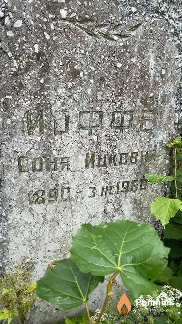 Иоффе Соня Ицковна