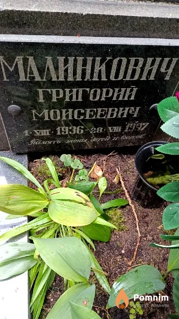 Малинкович Григорий Моисеевич