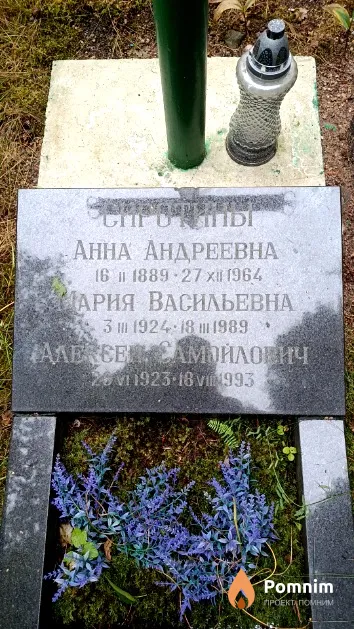 Сиротина Анна Андреевна