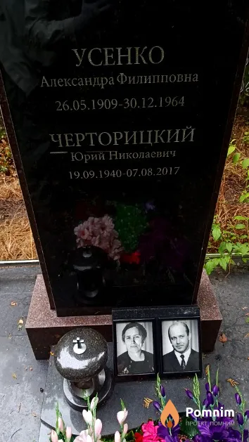 Черторицкий Юрий Николаевич
